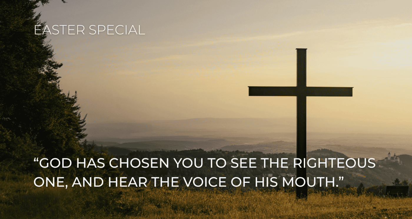 “God has chosen you to see the Righteous One, and hear the voice of His mouth.” Acts 22:14