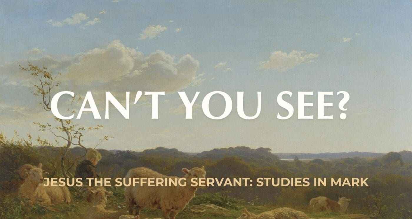 Can't You See? || Mark 8:11-26