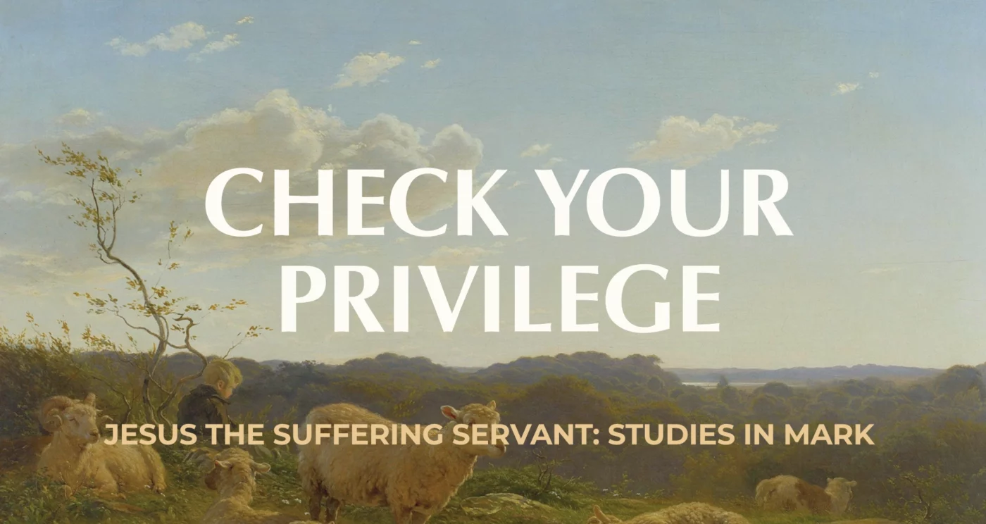 Check Your Privilege || Mark 12:1-12