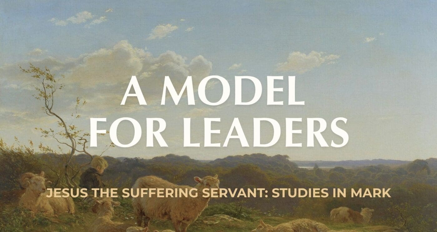 A Model for Leaders