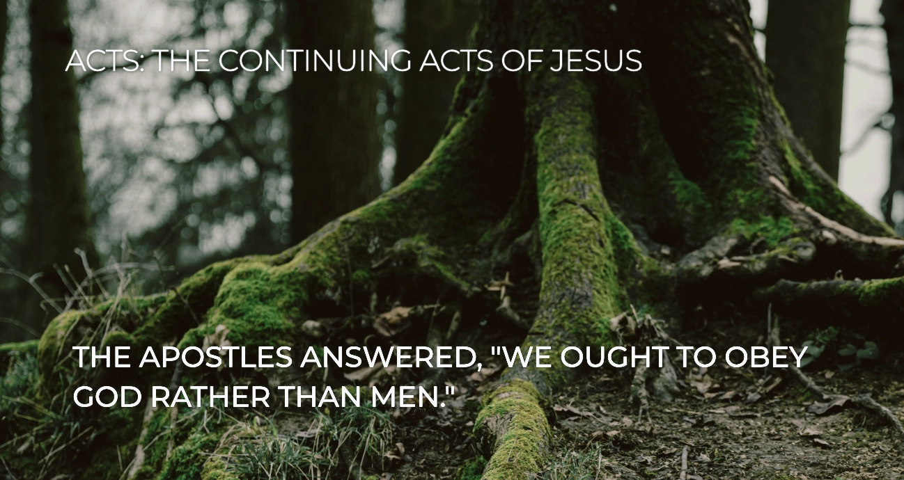 The Apostles answered, "We ought to obey God rather than man."
